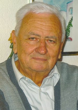 Portrait von Mag. Helmut Wenger